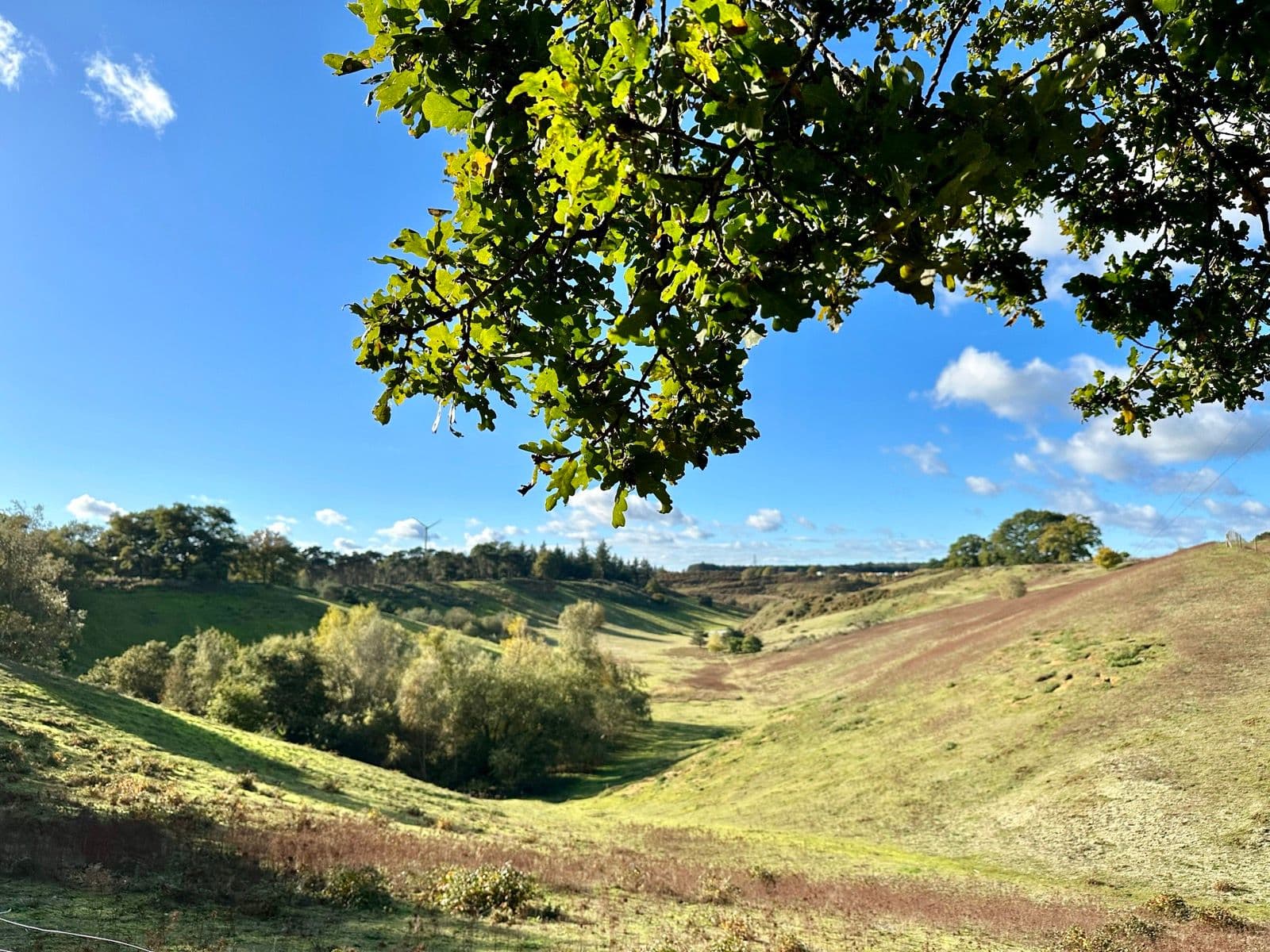 Hertfordshire