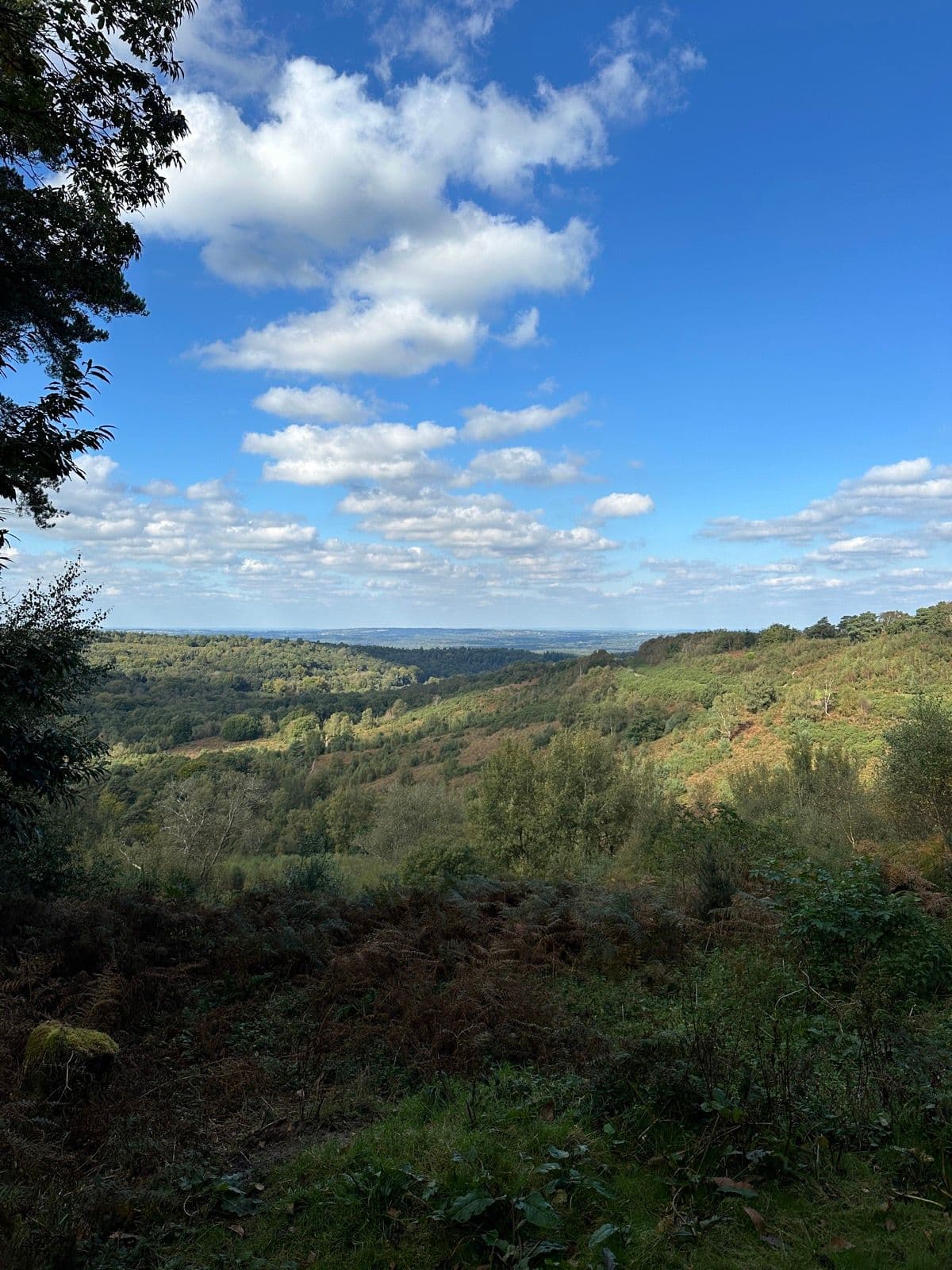Surrey