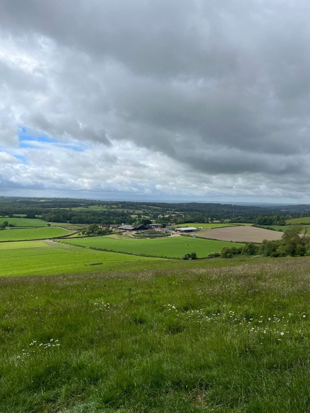 Biggin Hill Rouleur